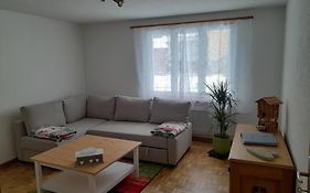 2 1/2 Zimmer Ferienwohnung