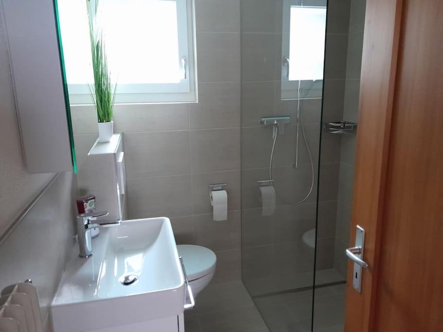 2 1/2 Zimmer Ferienwohnung Meiringen Exterior foto
